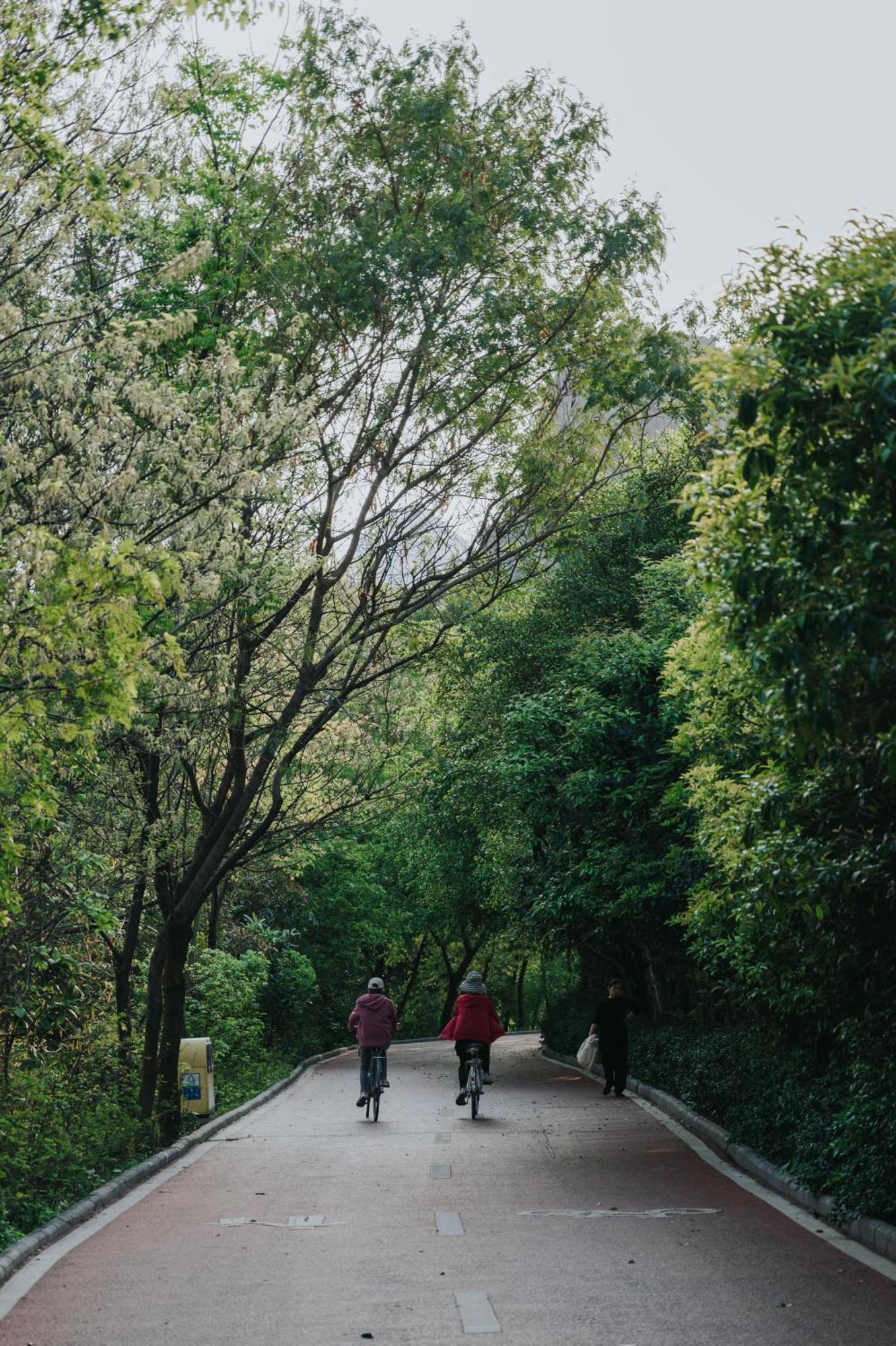 Guilin Bonjour Boutique Hotel- Free Pick Up Service Over 3 Nights Exterior foto